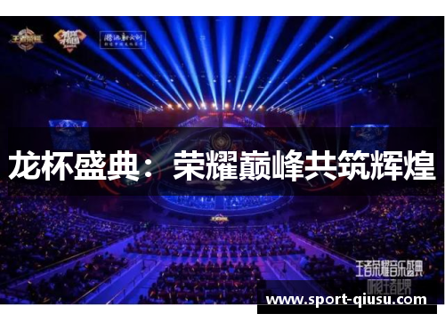 龙杯盛典：荣耀巅峰共筑辉煌