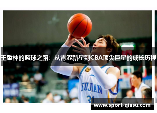王哲林的篮球之路：从青涩新星到CBA顶尖巨星的成长历程